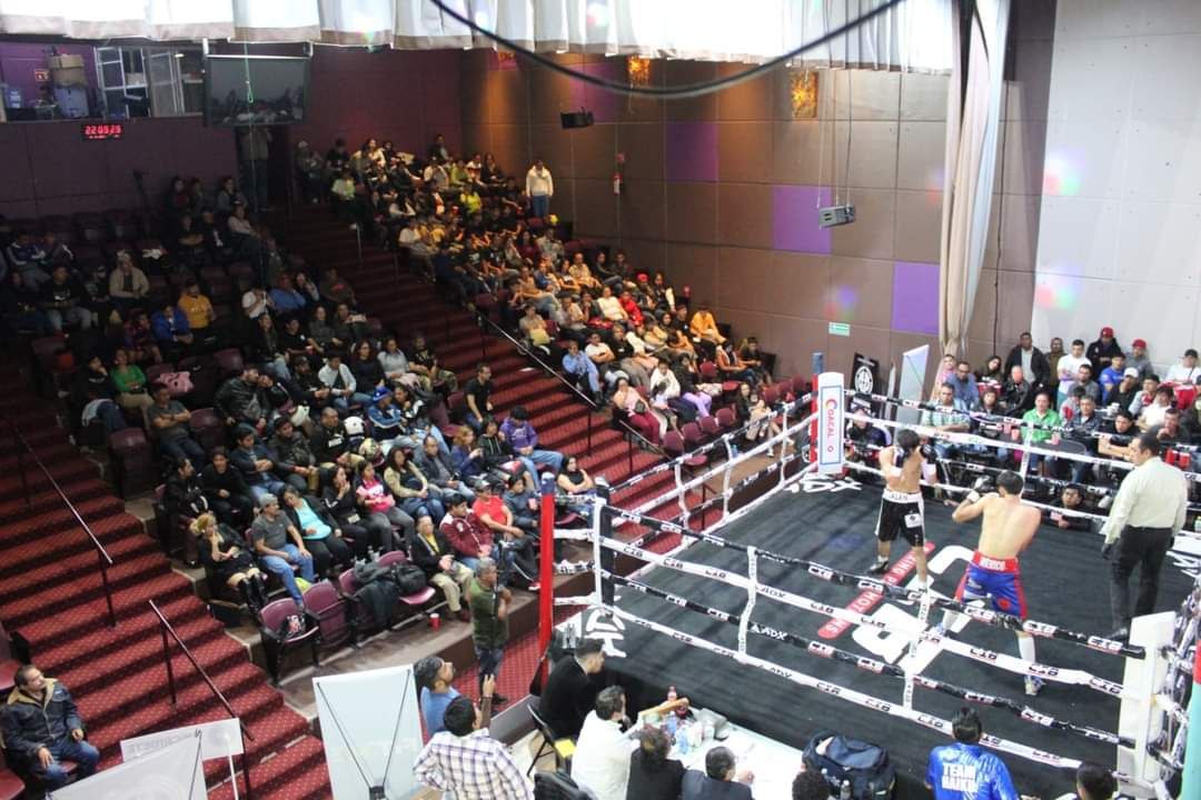 Producción Multimedia